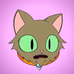Cat #6312