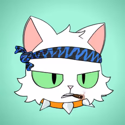 Cat #9068