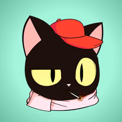 Cat #6093
