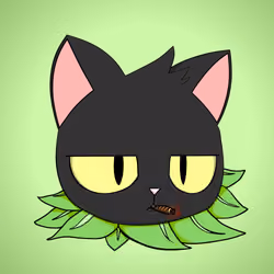 Cat #1611