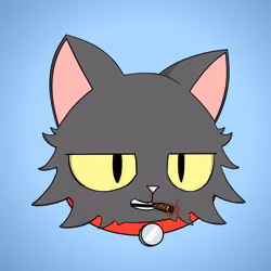 Cat #2126
