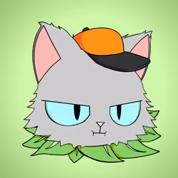 Cat #5153