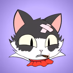 Cat #5241