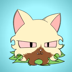 Cat #5650