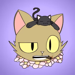 Cat #3311