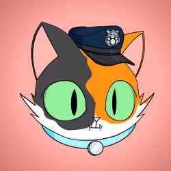 Cat #1989
