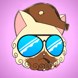 Cat #6364
