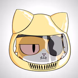 Cat #6328
