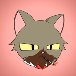 Cat #9737