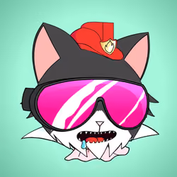Cat #8996