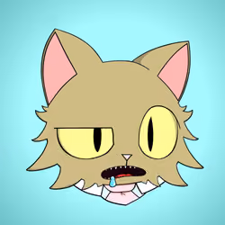 Cat #1592