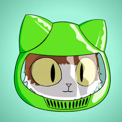 Cat #9434