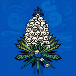 FLOR DE IZOTE KUXKATLEKA #3