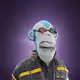 4029
