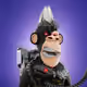 5384