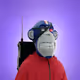 605