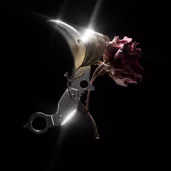 Wilted rose #29/50