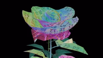 The Shredded Hologram Rose By Rosa Menkman