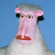290