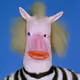 253