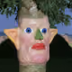185