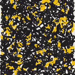 81