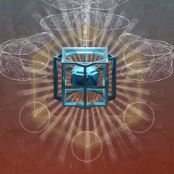 Ether Cards Founder 2554