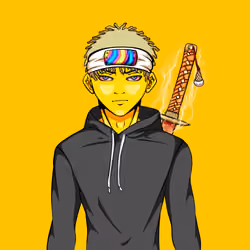 Ninja #5113