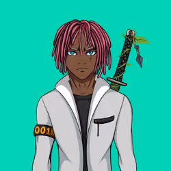 Ninja #2567