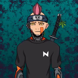 Ninja #4714