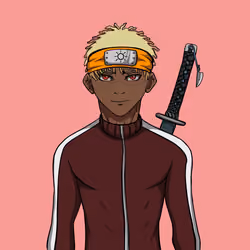 Ninja #3953