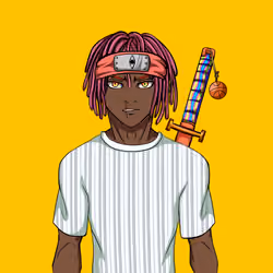 Ninja #8520