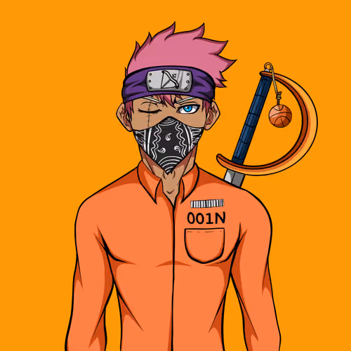 Ninja #482