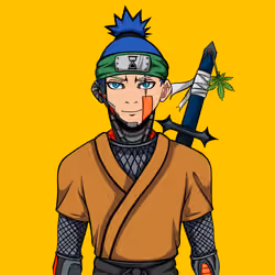 Ninja #6133
