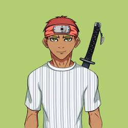 Ninja #4120
