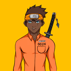 Ninja #8002