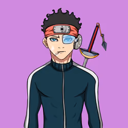 Ninja #1670
