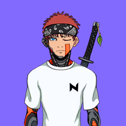 Ninja #3654