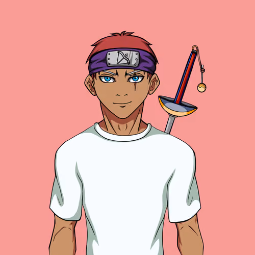 Ninja #3488