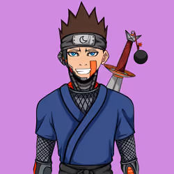 Ninja #4672