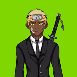 Ninja #1317