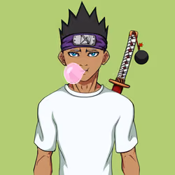 Ninja #8536