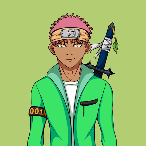 Ninja #8871
