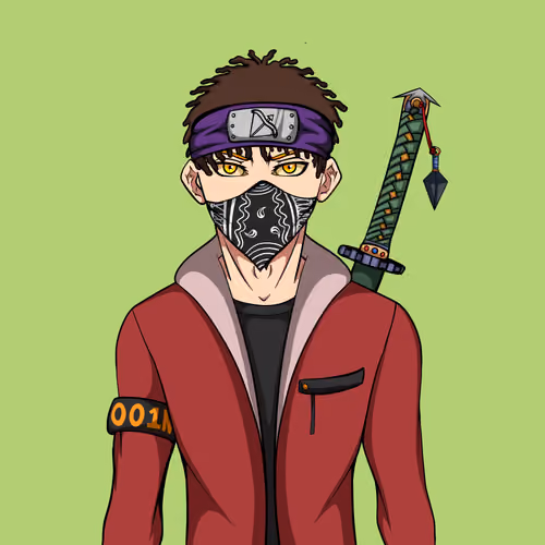 Ninja #6401