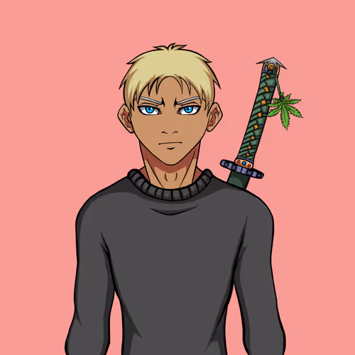 Ninja #6675