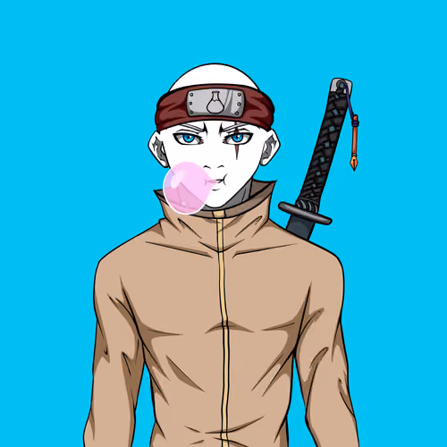Ninja #4887