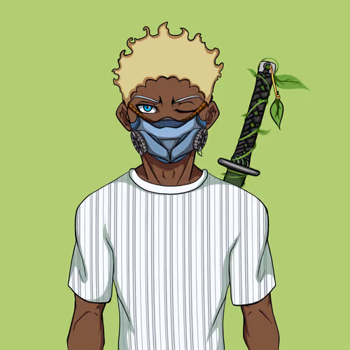 Ninja #2580