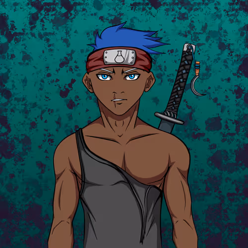 Ninja #2912