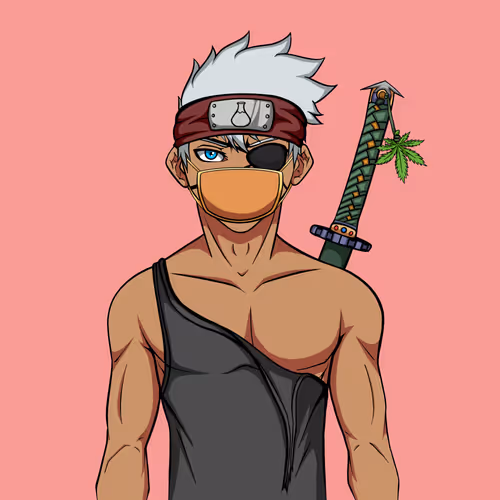Ninja #562