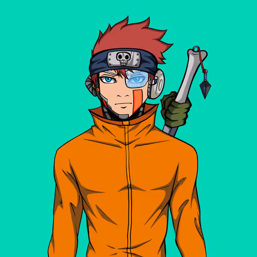 Ninja #1594